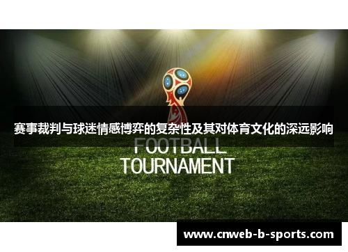 赛事裁判与球迷情感博弈的复杂性及其对体育文化的深远影响
