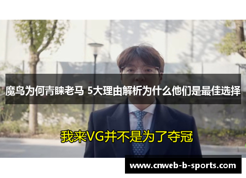 魔鸟为何青睐老马 5大理由解析为什么他们是最佳选择